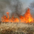 Wypalanie traw jest zagrożone niebezpieczeństwem pożaru, nad którym nie będziemy w stanie zapanować