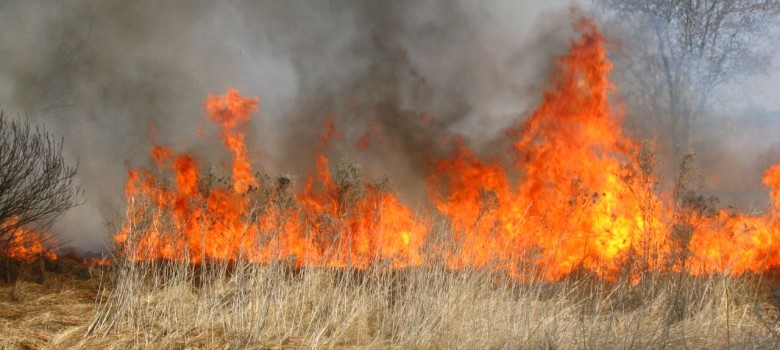 Wypalanie traw jest zagrożone niebezpieczeństwem pożaru, nad którym nie będziemy w stanie zapanować